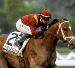 Triple Crown 2025 Racing Dudes Fantasy League Update: Preakness Stakes Up Next