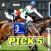 Tampa Bay Downs Preview & FREE Pick 5 Bets | The Magic Mike Show 583