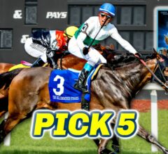 Tampa Bay Downs Preview & FREE Pick 5 Bets | The Magic Mike Show 583