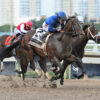 Sovereignty ‘In Great Shape’ After Fountain of Youth Win | Florida Derby ‘In The Mix’ Next