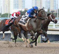 Sovereignty ‘In Great Shape’ After Fountain of Youth Win | Florida Derby ‘In The Mix’ Next