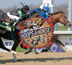 Hoops & Horses Contest Day 2 | Win FREE Cash Picking Ponies & March Madness