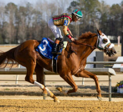 American Promise Romps in $500,000 Virginia Derby | Earns 50 Points to Kentucky Derby