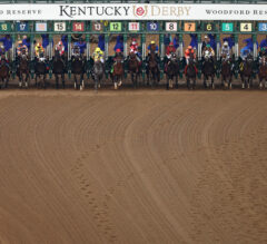 Kentucky Derby Trends 2025 | Post Position Analysis