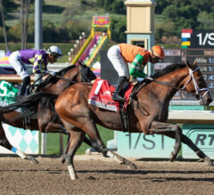 Jon White’s 2025 Kentucky Derby Strikes & Picks