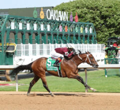 Asmussen-Trained Clever Again Works for Preakness Stakes