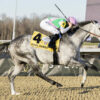 Matt Winn Stakes Picks and Preview 2025 | Final Gambit Goes for First Dirt Victory