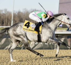 2025 Kentucky Derby Contenders: Final Gambit