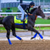 Preakness Stakes 2025 Probables | Wood Memorial Winner Rodriguez out of Preakness