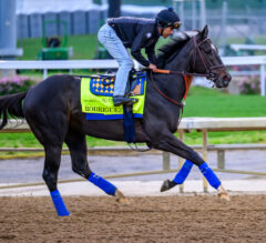 Preakness Stakes 2025 Probables | Wood Memorial Winner Rodriguez out of Preakness