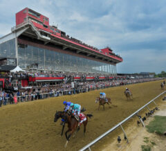 Preakness Stakes Trends 2025 | What to Know Before You Make Your Pick