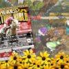 Preakness Stakes 2025 Betting Bible | Picks & Analysis Now Available!