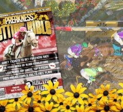 Preakness Stakes 2025 Betting Bible | Picks & Analysis Now Available!