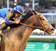 Triple Crown 2025 Racing Dudes Fantasy League Update: Shotty and Davey Take Control