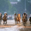 Preakness Stakes 2025 | Early Contenders Preview