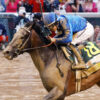 2025 Kentucky Derby Recap: Trip Notes and Analysis