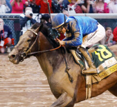 2025 Kentucky Derby Recap: Trip Notes and Analysis