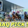 Belmont at the Big A Pick 5 Preview | The Magic Mike Show 590