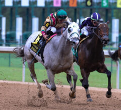 Black-Eyed Susan Picks and Preview 2025 | Who Wins the Major Friday Race at Pimlico?