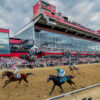 Journalism Wins 150th Preakness Stakes After Improbable Comeback