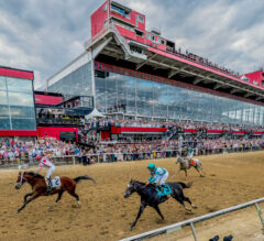 Journalism Wins 150th Preakness Stakes After Improbable Comeback