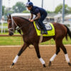 Grande Scratched From Kentucky Derby 151