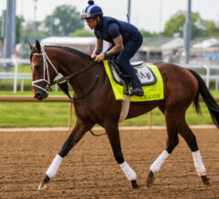Grande Scratched From Kentucky Derby 151