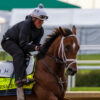 Journalism 8-5 Favorite for $2 Million Preakness Stakes | Make Your Picks Now
