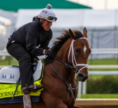 Journalism 8-5 Favorite for $2 Million Preakness Stakes | Make Your Picks Now