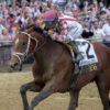 2025 Preakness Stakes Recap: Trip Notes and Analysis
