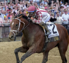 2025 Preakness Stakes Recap: Trip Notes and Analysis