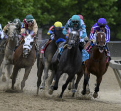 How Live Data and Betting Change the Viewing Experience