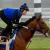 Jose Ortiz: Clever Again Has a Really Good Chance to Win Preakness Stakes