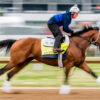 How to Bet the Kentucky Derby | Expert Picks & Betting Calculator