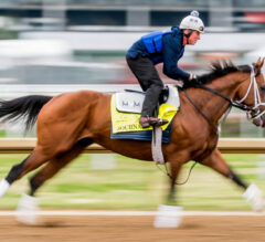 How to Bet the Kentucky Derby | Expert Picks & Betting Calculator