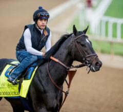 Rodriguez Scratched From Kentucky Derby 151 | Baeza Draws In