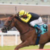 Weekend Recap | Turf Stars Shine Bright