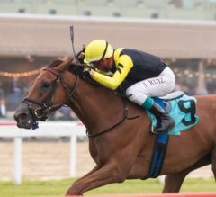 Weekend Recap | Turf Stars Shine Bright
