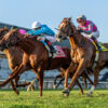 Rockets CASH Pick 5 at Belmont at the Big A for $1,470.75 on $96 Ticket 6/27/25
