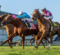 Rockets CASH Pick 5 at Belmont at the Big A for $1,470.75 on $96 Ticket 6/27/25