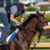 How to Bet the Belmont Stakes | Expert Picks & Betting Calculator