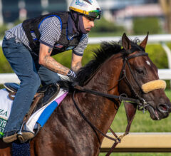 How to Bet the Belmont Stakes | Expert Picks & Betting Calculator