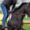 Ohio Derby Day FREE Picks & Plays at Thistledown | June 21, 2025