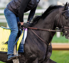 Ohio Derby Day FREE Picks & Plays at Thistledown | June 21, 2025