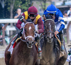 Best Rivalries in Horse Racing History