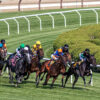 Rockets CASH Late Pick 5 at Saratoga for $2,719.75 on $96 Ticket 6/5/25