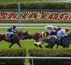Top Horse Races to Watch This Summer 2025