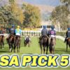Santa Anita Pick 5 Preview | The Magic Mike Show 594