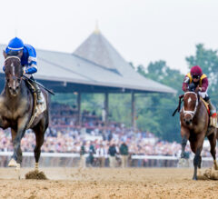 Sovereignty Wins 157th Belmont Stakes, Beats Journalism Once Again