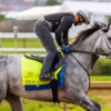 Final Gambit Faces Kentucky Derby Rivals in $400,000 Matt Winn